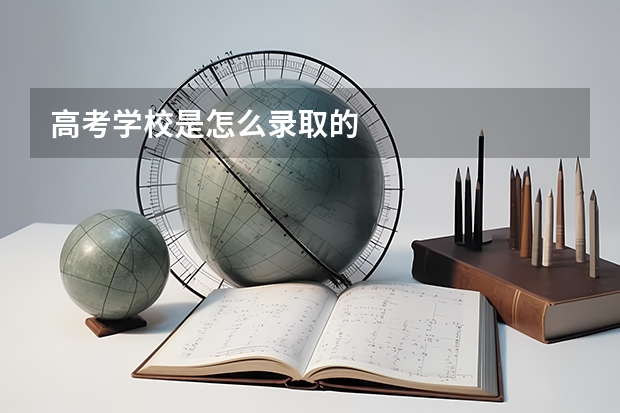 高考学校是怎么录取的