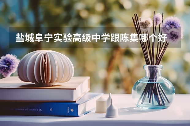 盐城阜宁实验高级中学跟陈集哪个好