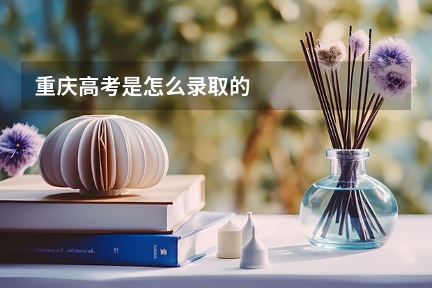 重庆高考是怎么录取的