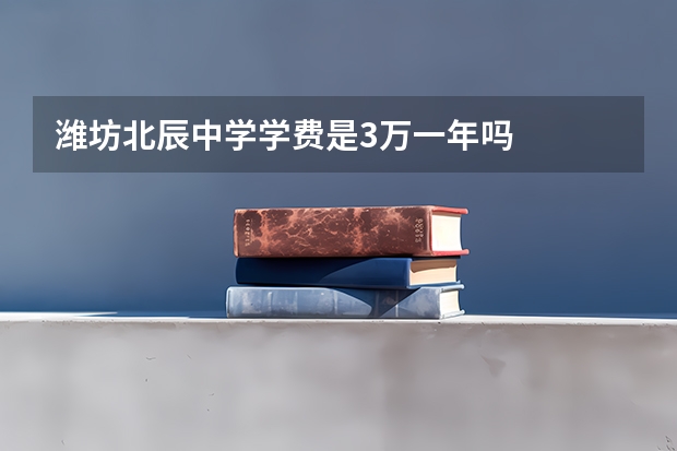 潍坊北辰中学学费是3万一年吗