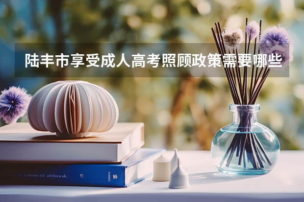 陆丰市享受成人高考照顾政策需要哪些材料？