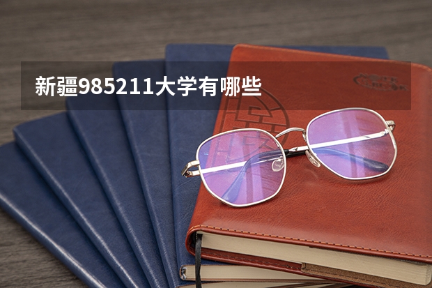 新疆985211大学有哪些