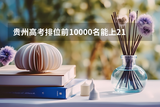 贵州高考排位前10000名能上211吗