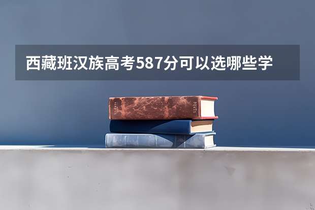 西藏班汉族高考587分可以选哪些学校？