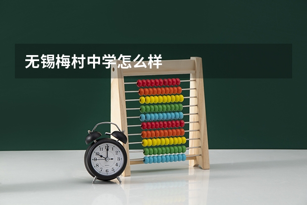 无锡梅村中学怎么样