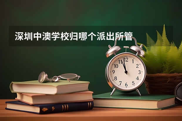 深圳中澳学校归哪个派出所管
