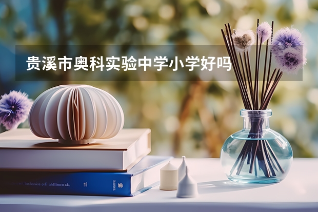 贵溪市奥科实验中学小学好吗