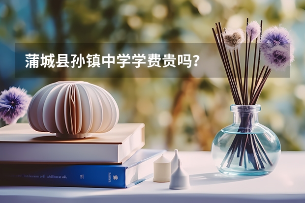 蒲城县孙镇中学学费贵吗？