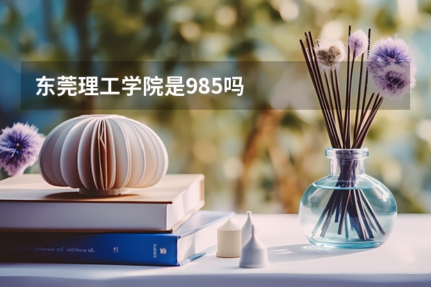 东莞理工学院是985吗