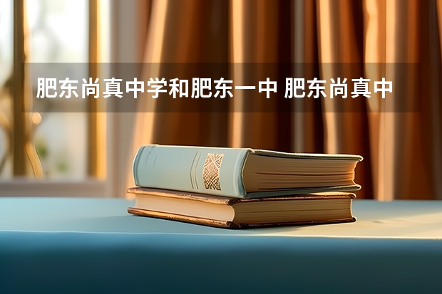 肥东尚真中学和肥东一中 肥东尚真中学中考录取分数线