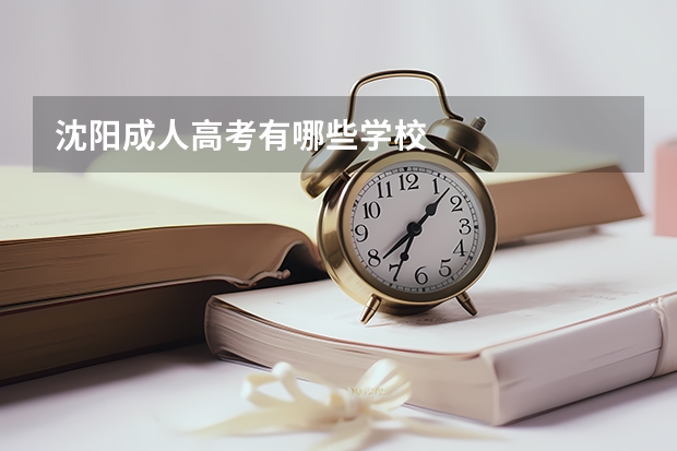 沈阳成人高考有哪些学校