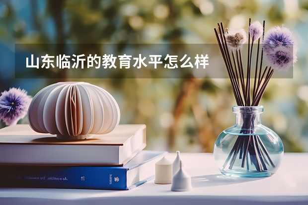 山东临沂的教育水平怎么样