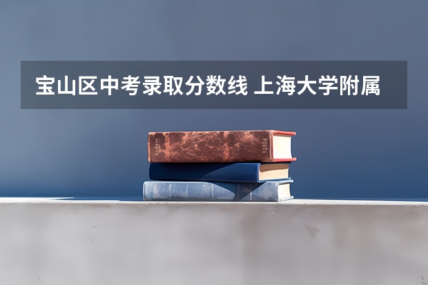 宝山区中考录取分数线 上海大学附属宝山外国语学校中考升学率