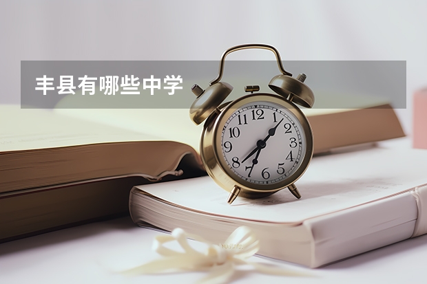 丰县有哪些中学