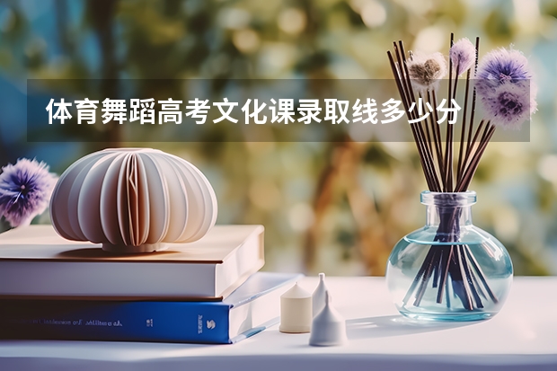 体育舞蹈高考文化课录取线多少分