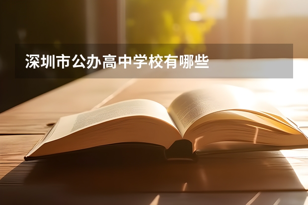 深圳市公办高中学校有哪些