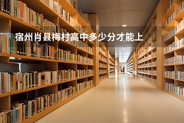 宿州肖县梅村高中多少分才能上