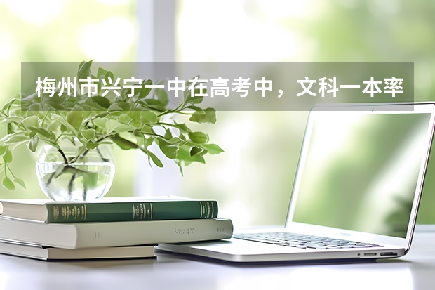 梅州市兴宁一中在高考中，文科一本率是多少？