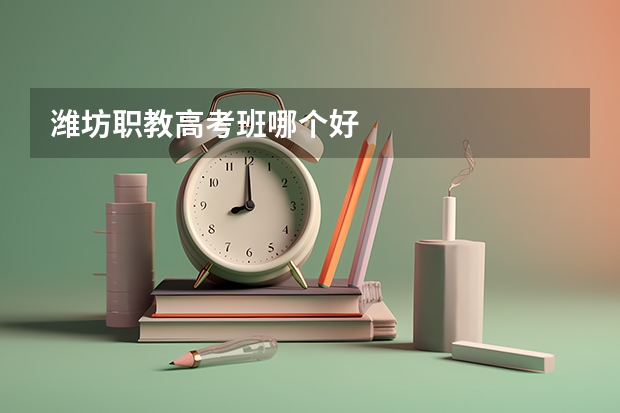潍坊职教高考班哪个好