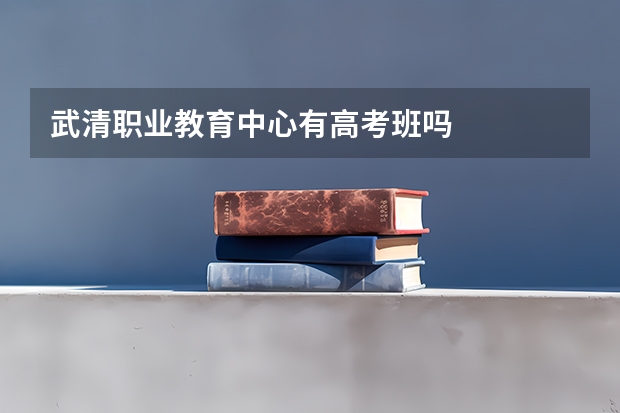 武清职业教育中心有高考班吗