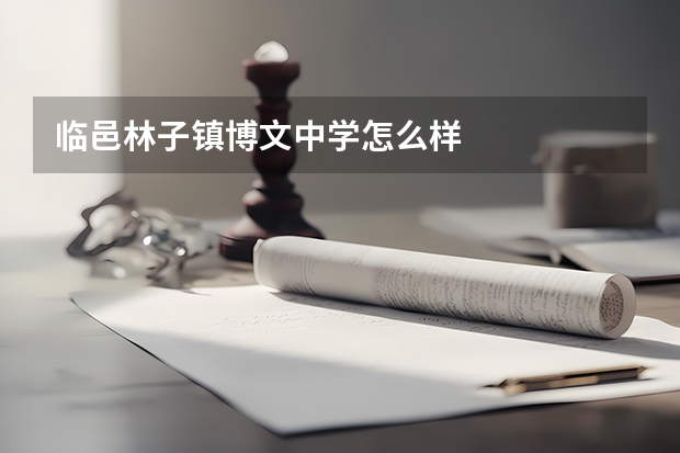 临邑林子镇博文中学怎么样