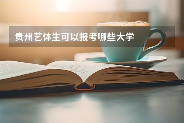 贵州艺体生可以报考哪些大学