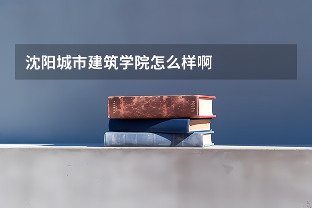 沈阳城市建筑学院怎么样啊