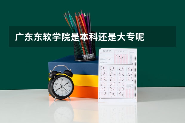 广东东软学院是本科还是大专呢