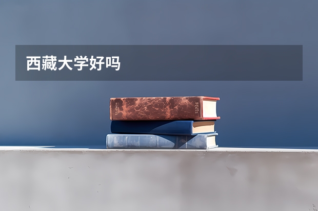 西藏大学好吗